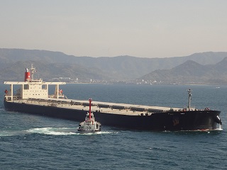 Very Large Ore Carrier 2004 built